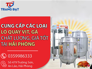 Cung cấp các loại lò quay vịt, gà chất lượng, giá tốt tại Hải Phòng